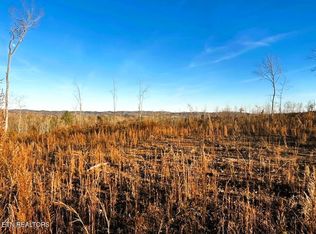 1667 Euchee Rd LOT 8B, Ten Mile, TN 37880