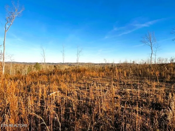 1667 Euchee Rd Lot 8B, Ten Mile, TN 37880