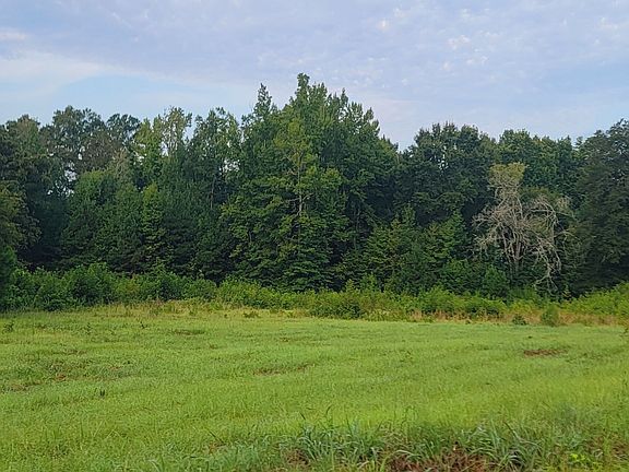 5th image of 0 Bankston Rd