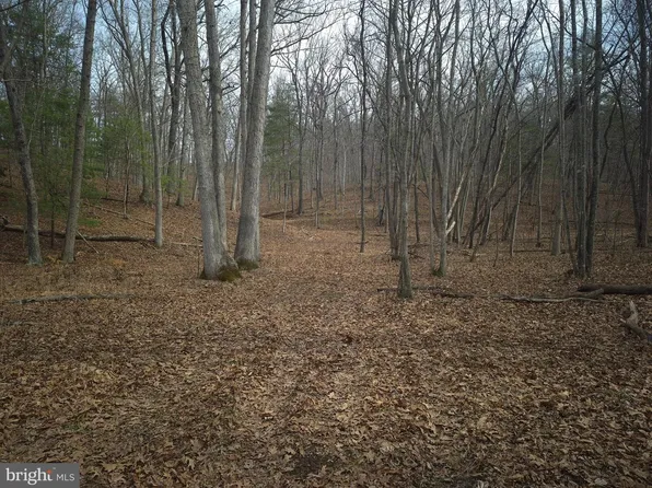 LOT 16 Hodges Ln, Winchester, VA 22603