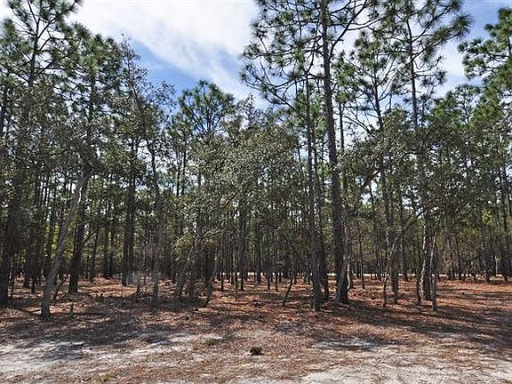 4th image of L-155 Moss Hammock LOT 155