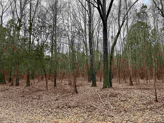 3rd image of TRACT 4 Venus Rd