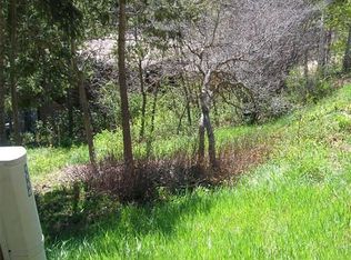 9710 Mohawk Trl, Cascade, CO 80809