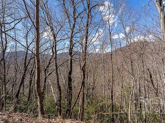 5th image of 99999 Bartlett Mountain Rd #11