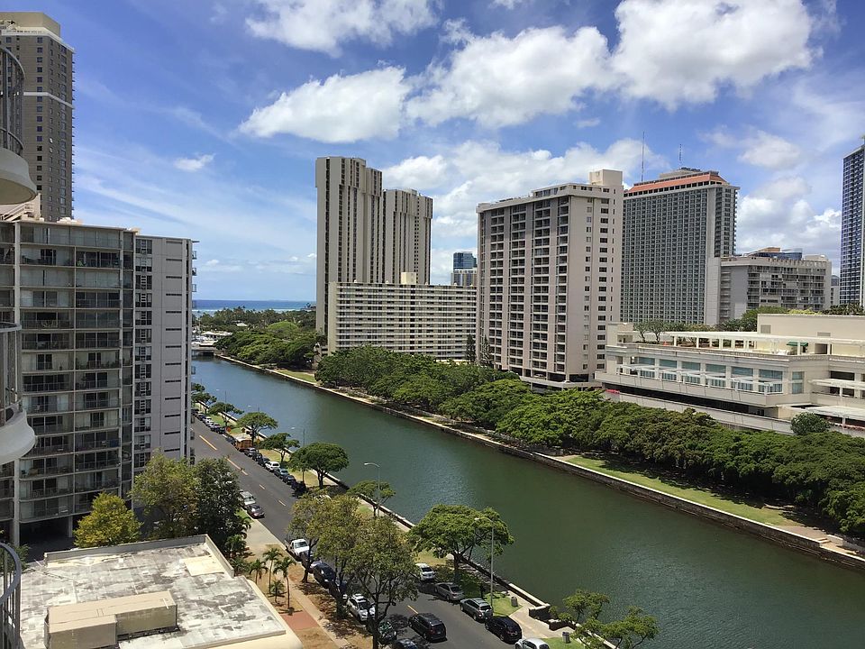 Ala Wai Canal Views