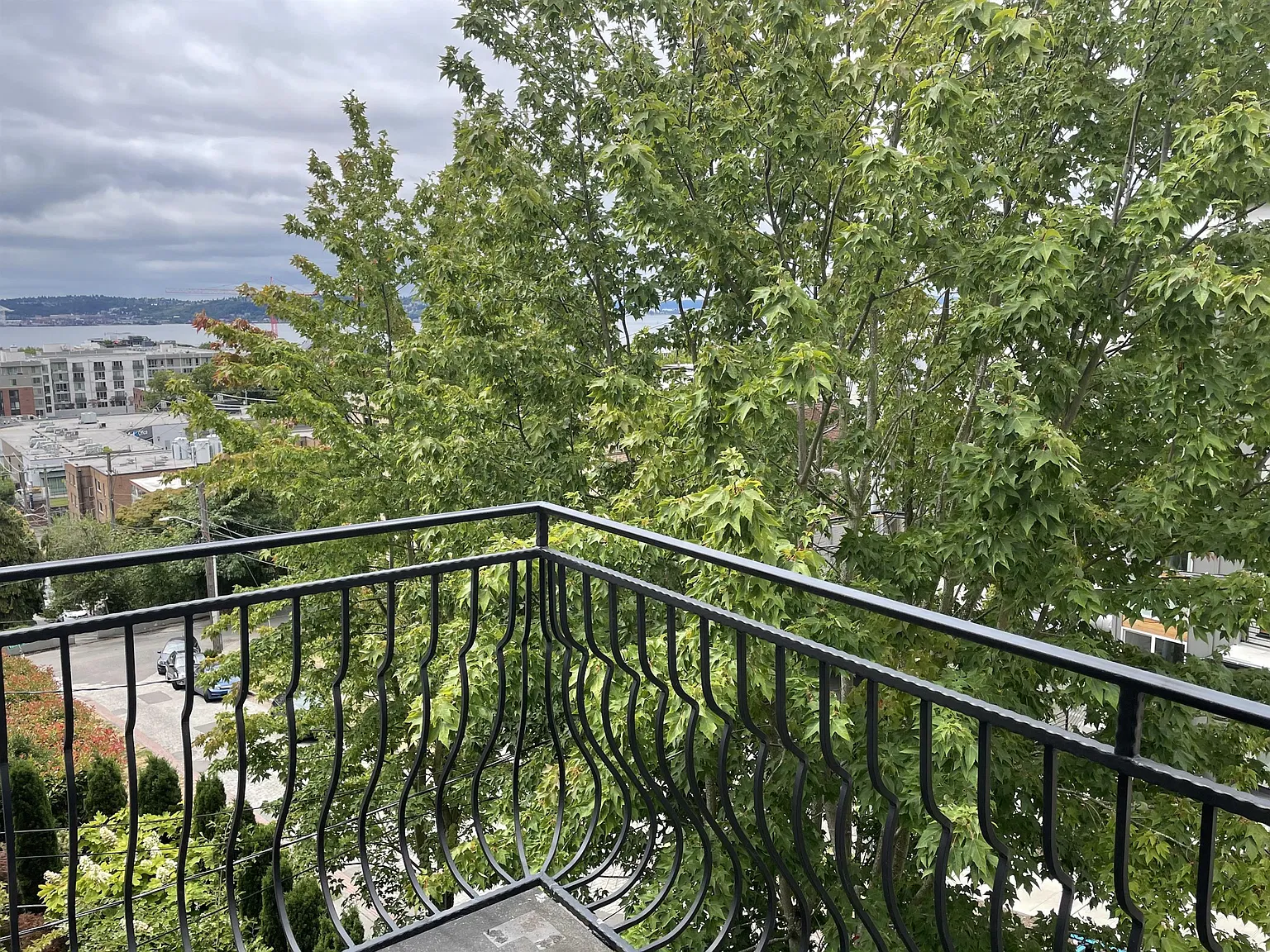 155 Aloha Street — Photo 4
