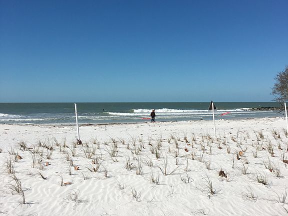 Honeymoon island beach