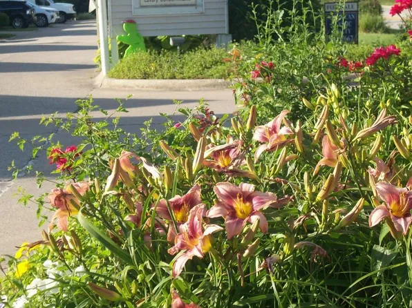 8408 Hague Rd, Indianapolis, IN 46256