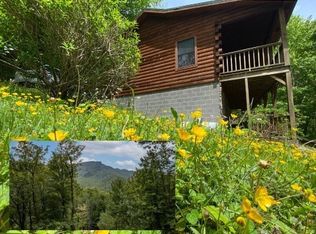 239 Dutch Treat Rd, Banner Elk, NC 28604