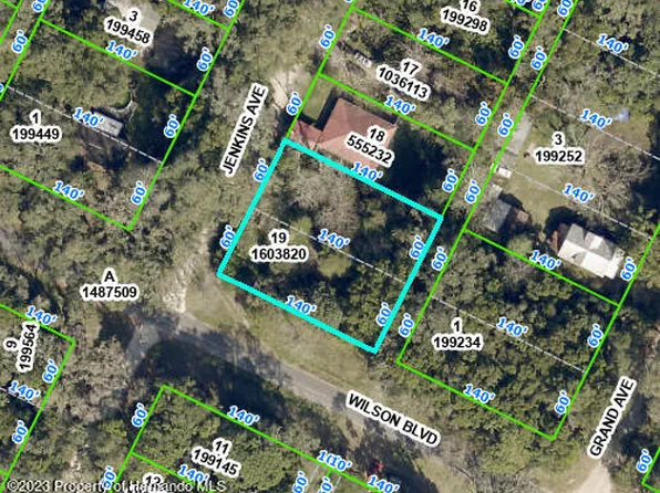 16223 Wilson Blvd, Masaryktown, FL 34604