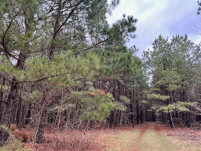 1st image of County Road 2924