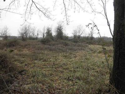 Davidson Rd, Siloam Springs, AR, 72761