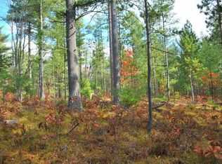 On Highway 45, Conover, WI 54519