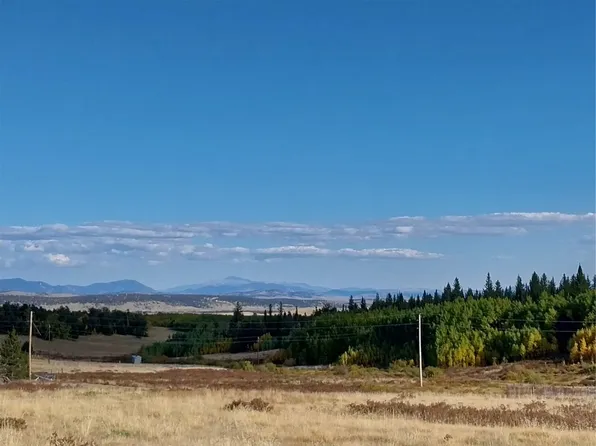 Tbd Bluestem Way, Fairplay, CO 80440