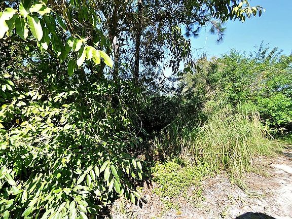 4th image of Tbd Oleander Av Avenue