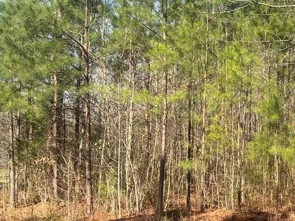 3AC Rose Dr, Lawrenceville, VA 23868