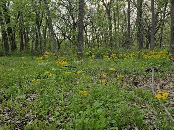 305 & 309 E Sugar Lake Dr, Mound City, KS 66056