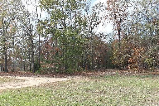 2nd image of 347 County Road 2858