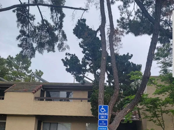 279 Tradewinds Dr APT 6, San Jose, CA 95123