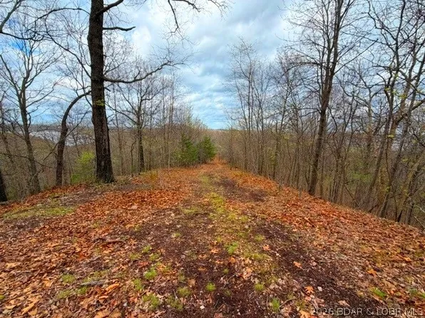 Mel Dor Rd, Climax Springs, MO 65324