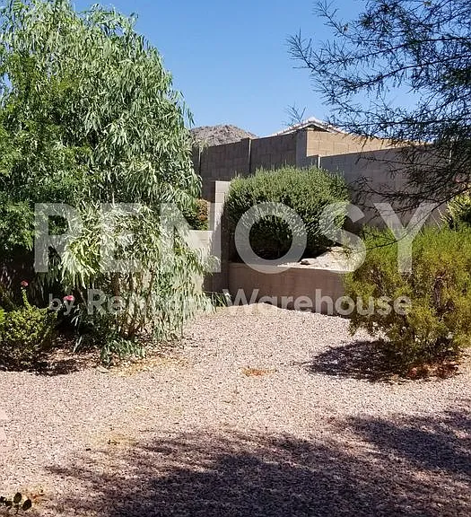 1744 W Frye Rd — Photo 22