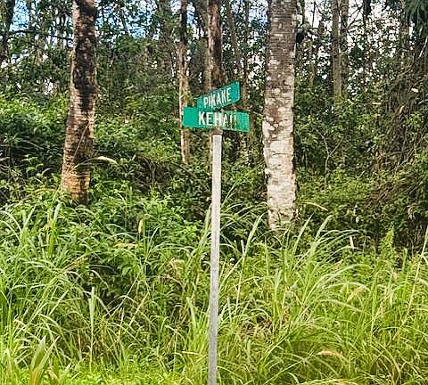 3rd image of Pikake Rd Lot 528