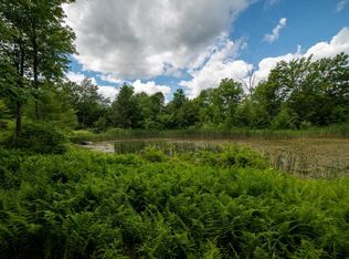 3607 Coe Hill Rd, Oneonta, NY 13820