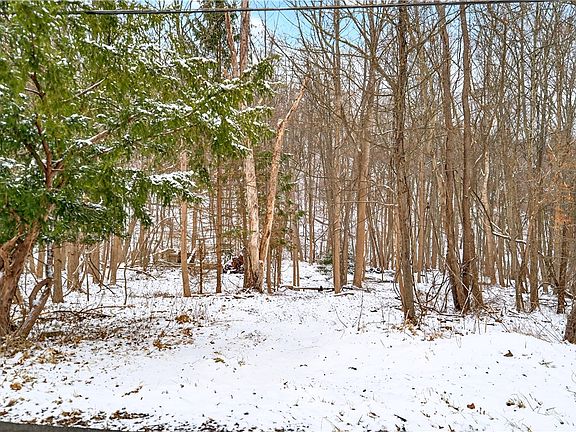 2nd image of 217 Klein Rd