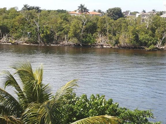ICW View