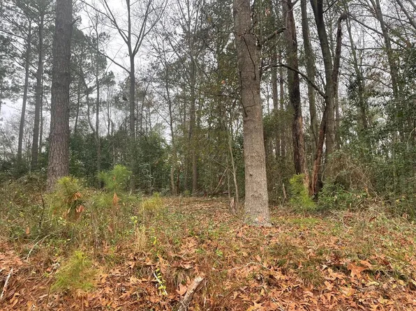 192 Southern Shrs, Cobb, GA 31735