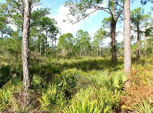 6501 Dian Ave, Sebring, FL 33875