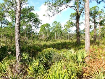 6501 Dian Ave, Sebring, FL, 33875