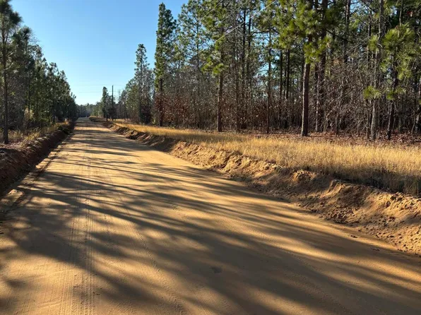 Whitetail Dr, Williston, SC 29853