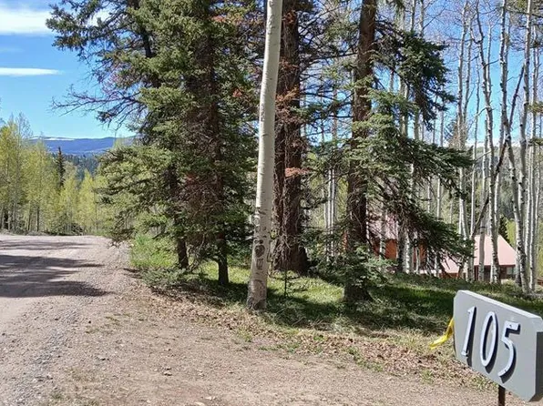 105 Aspen Trail, Cimarron, CO 81220