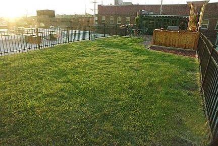 Roof Top Yard