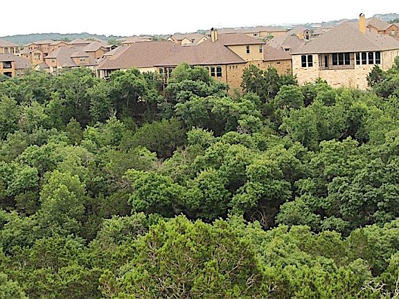 Nature is your back yard