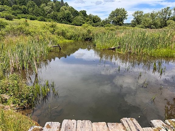 2nd image of 0 E Lake Rd #39