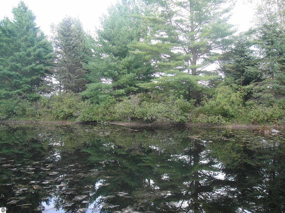 0 Cedar Lake Rd, Oscoda, MI 48750 Zillow