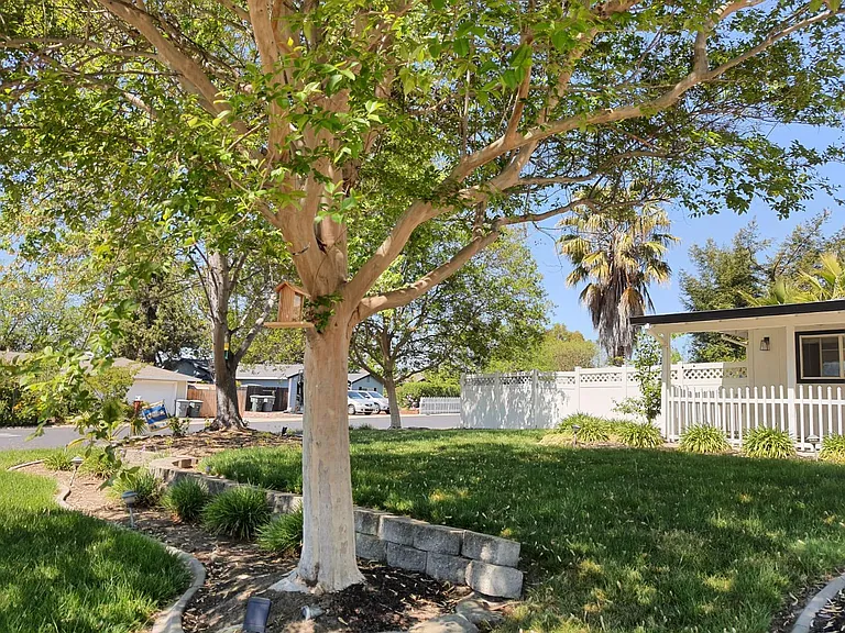 8247 Seeno Ave — Photo 14