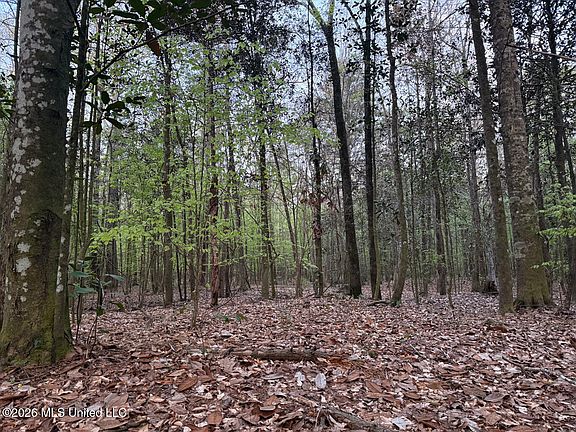 2nd image of Owen Boone Rd