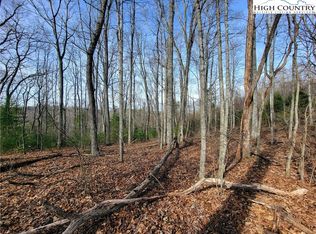 Tbd Island Ford Rd, Crumpler, NC 28617