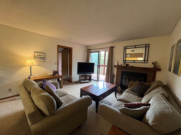 Wood burning Fire Place