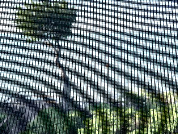 Yep. Your balcony view