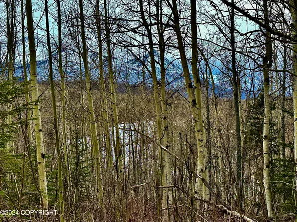 Nhn N Fish Lake Rd, Sutton, AK 99674
