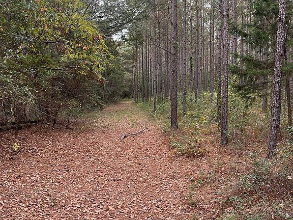 3rd image of 0 County Road 79 S