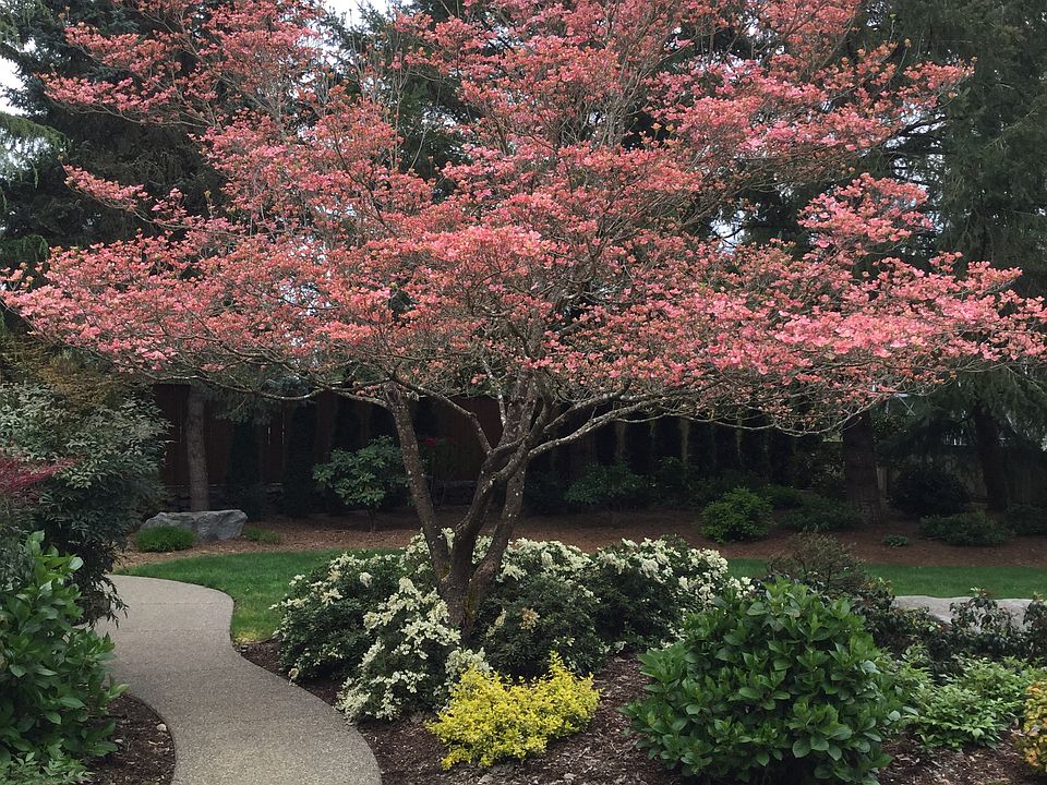 Professionally Landscaped