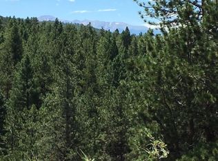 902 Douglas Fir Dr, Woodland Park, CO 80863