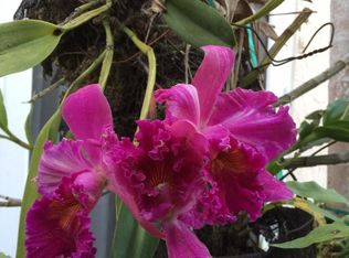 7920 SW 77th Ave, Miami, FL 33143