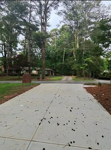 7 bed, 1775 sqft, $775 — Photo 3