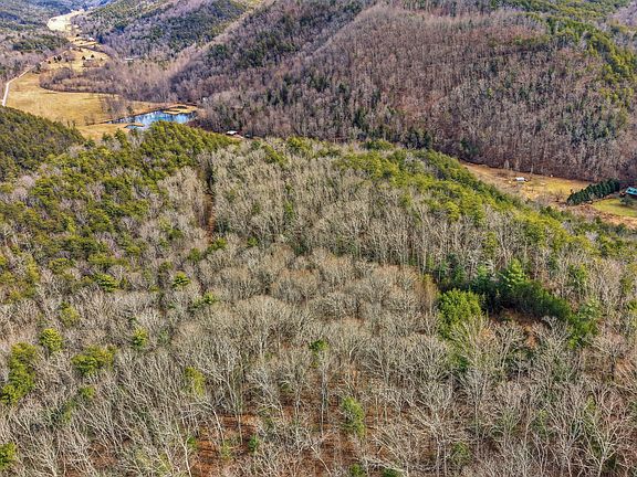 3rd image of Steer Creek Rd